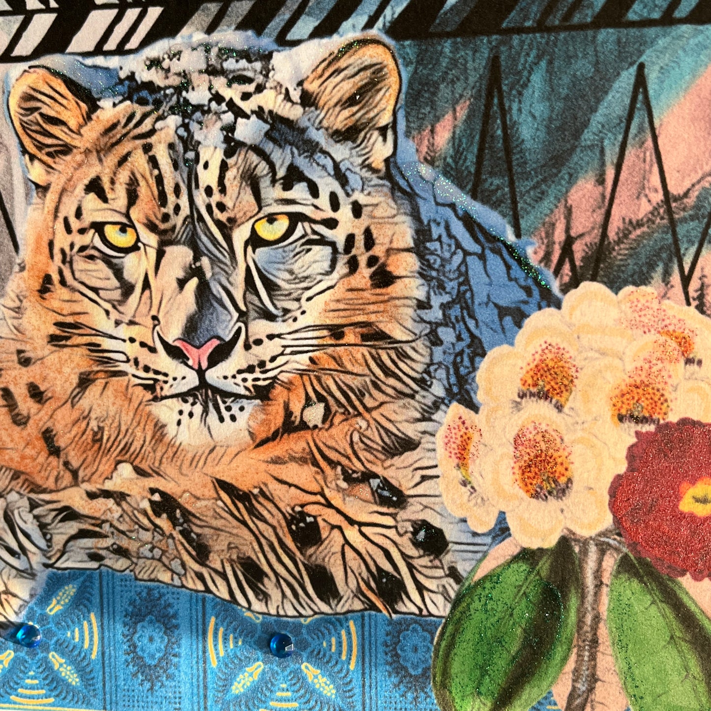 1 - Snow Leopard