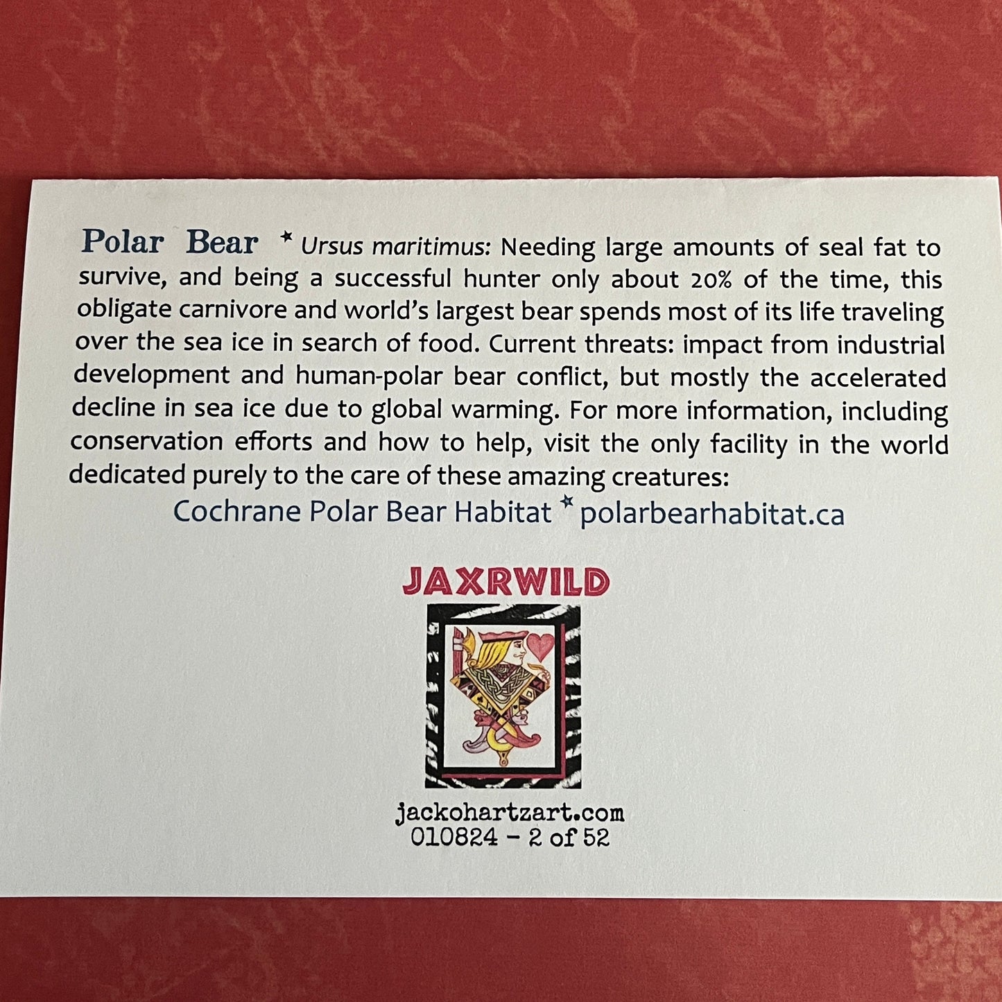 2 - Polar Bear