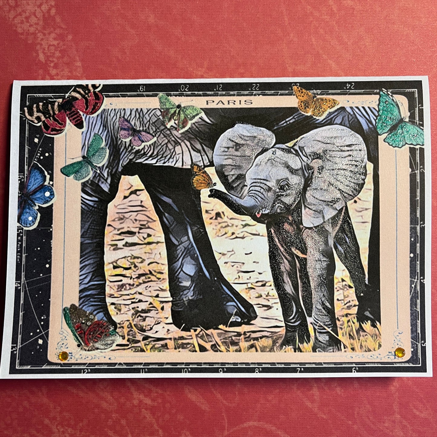 3 - African Elephant