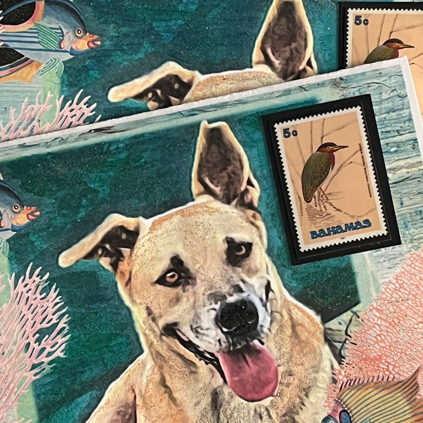 SALE 4 of 52 - Bahamian Potcake