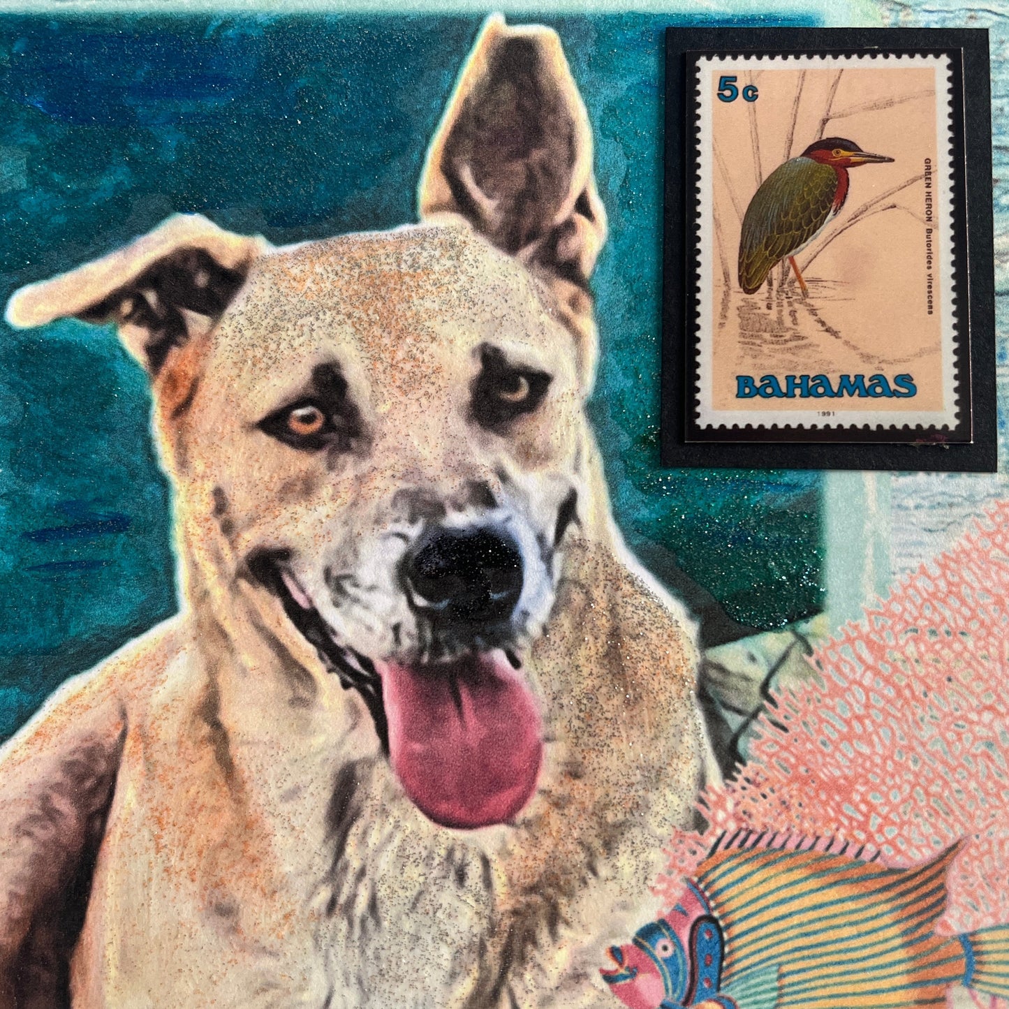 SALE 4 of 52 - Bahamian Potcake