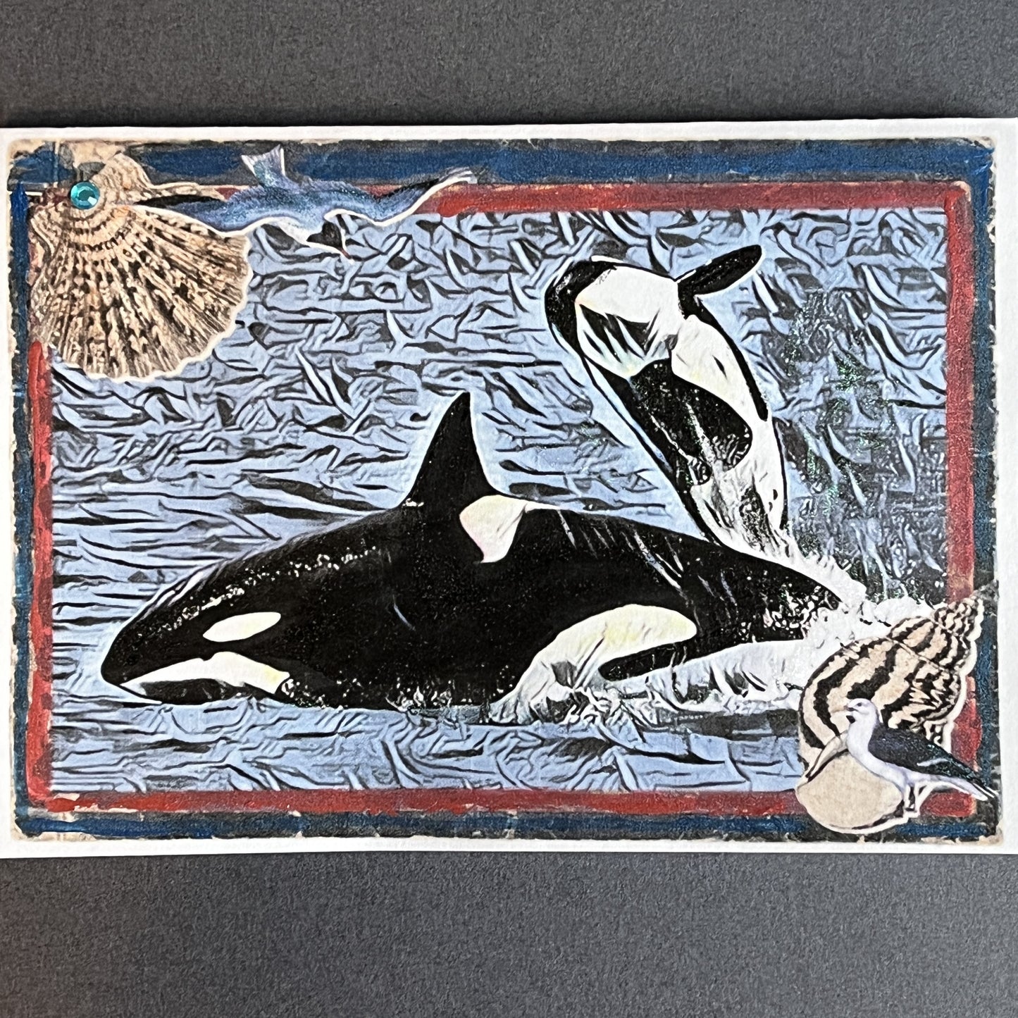 10 - Orca