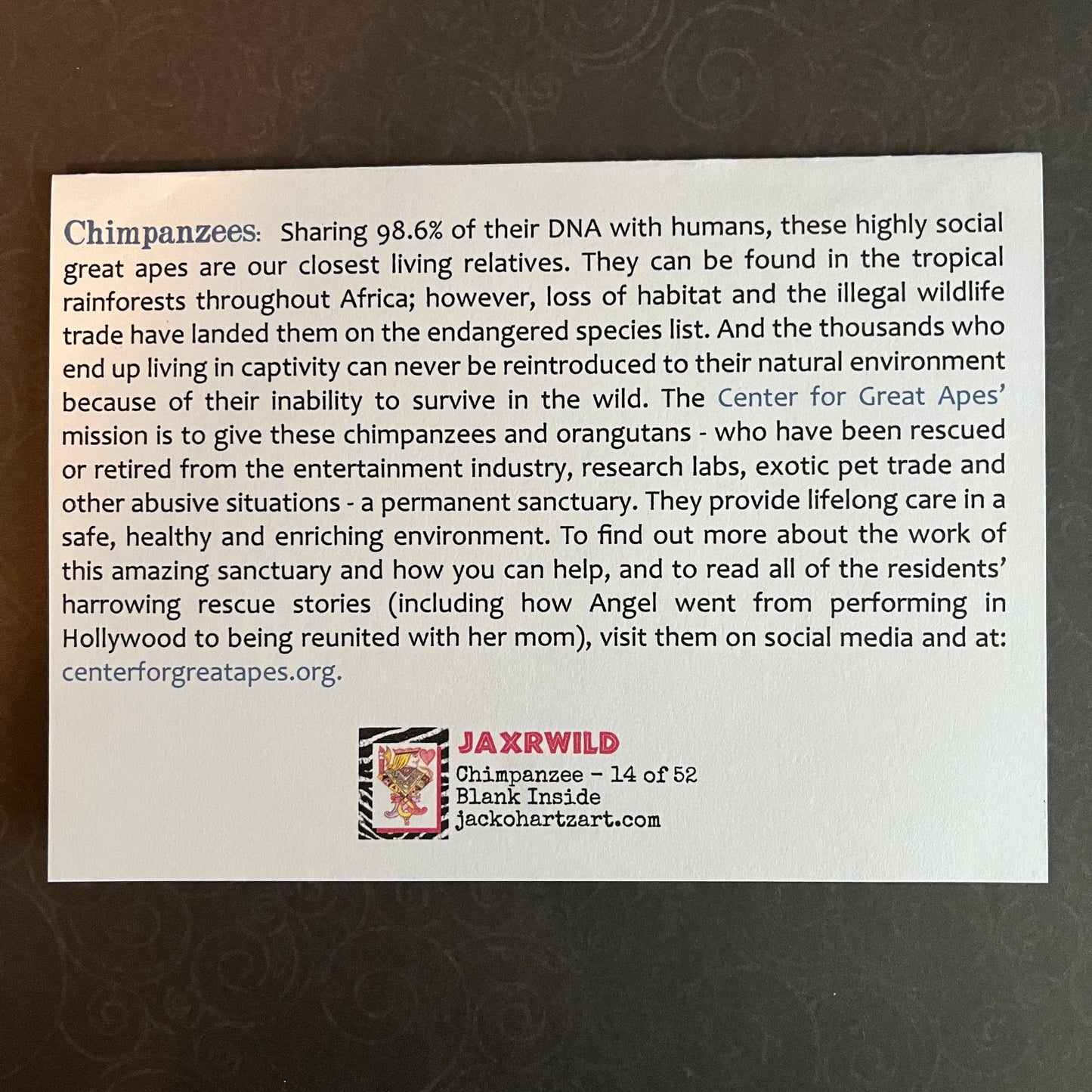 14 - Chimpanzee
