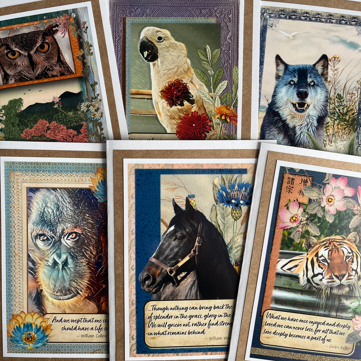 JaxRWild Sympathy Cards