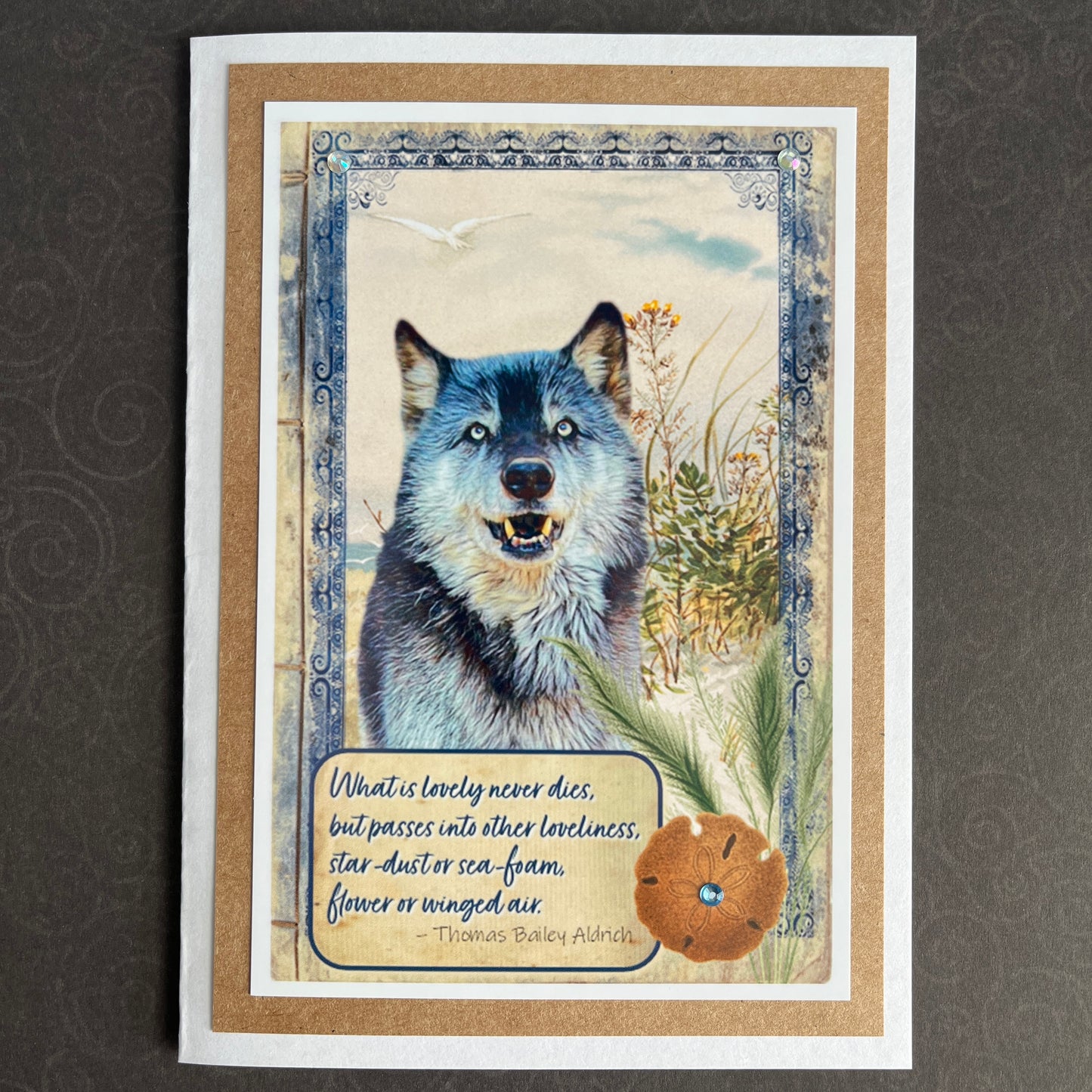 JaxRWild Sympathy Cards
