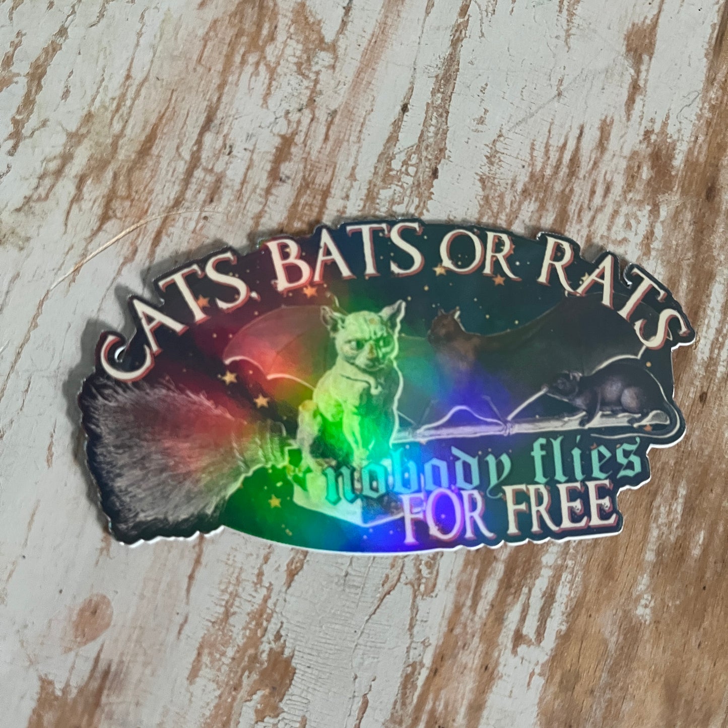 Cats, Bats or Rats - Nobody Flies for Free Sticker