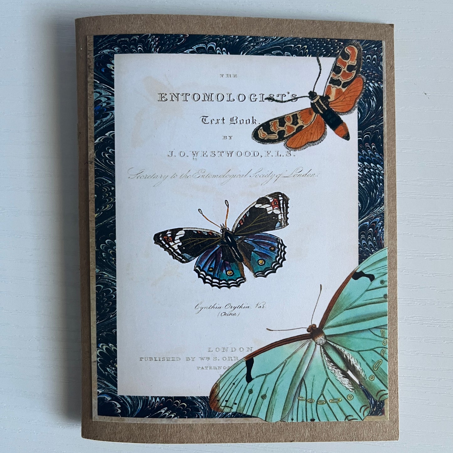Book Report - Pocket Book Review Journal
