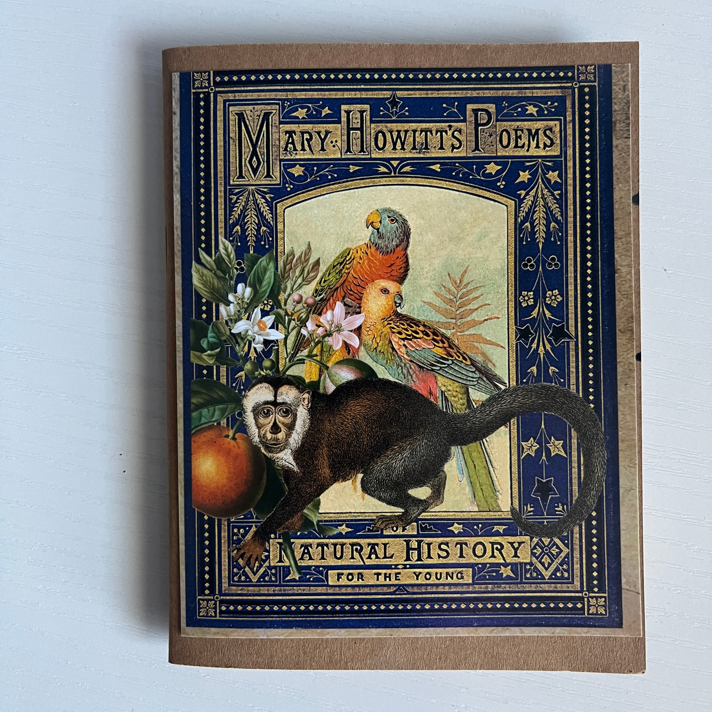 Book Report - Pocket Book Review Journal