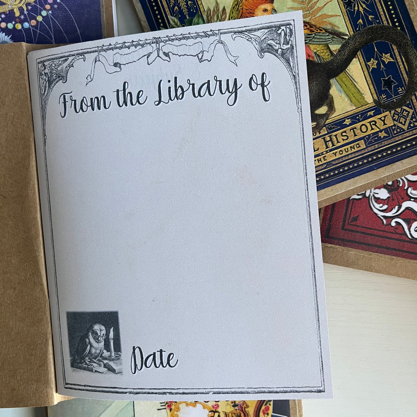 Book Report - Pocket Book Review Journal