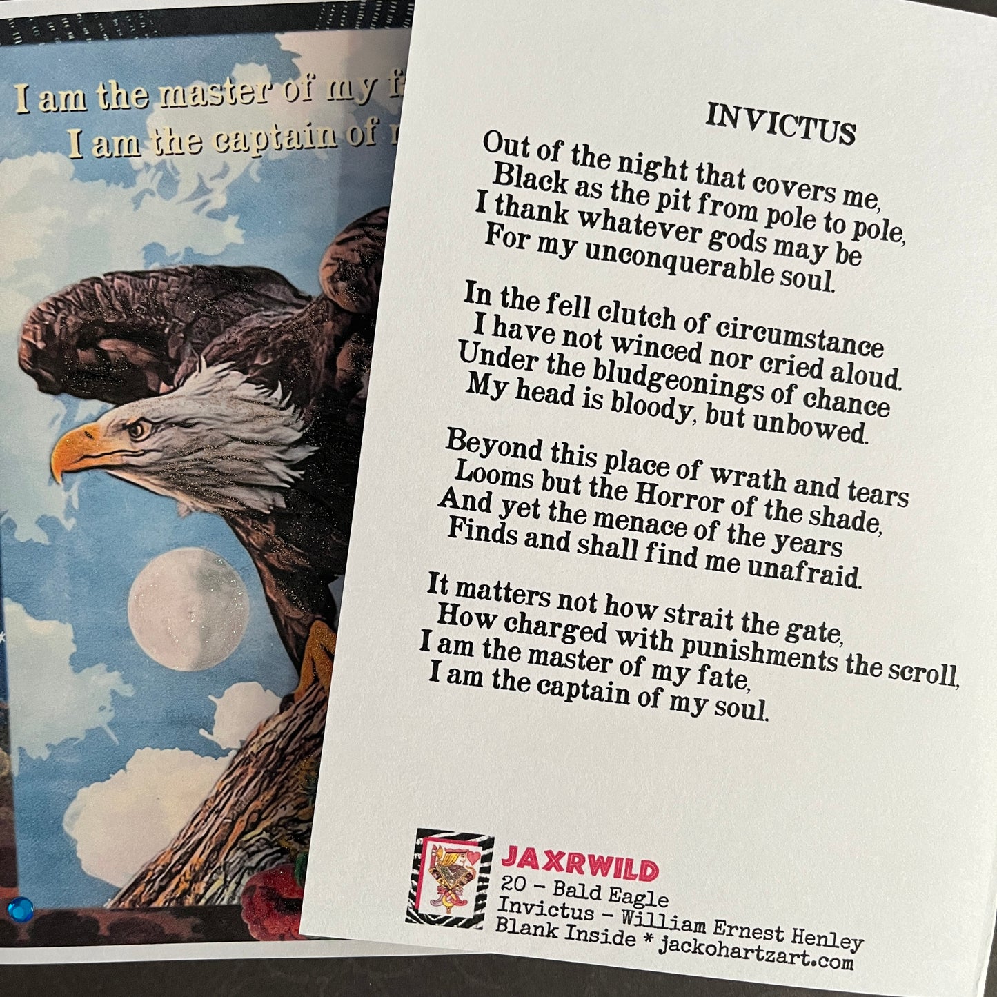 SALE 20 - Bald Eagle Invictus
