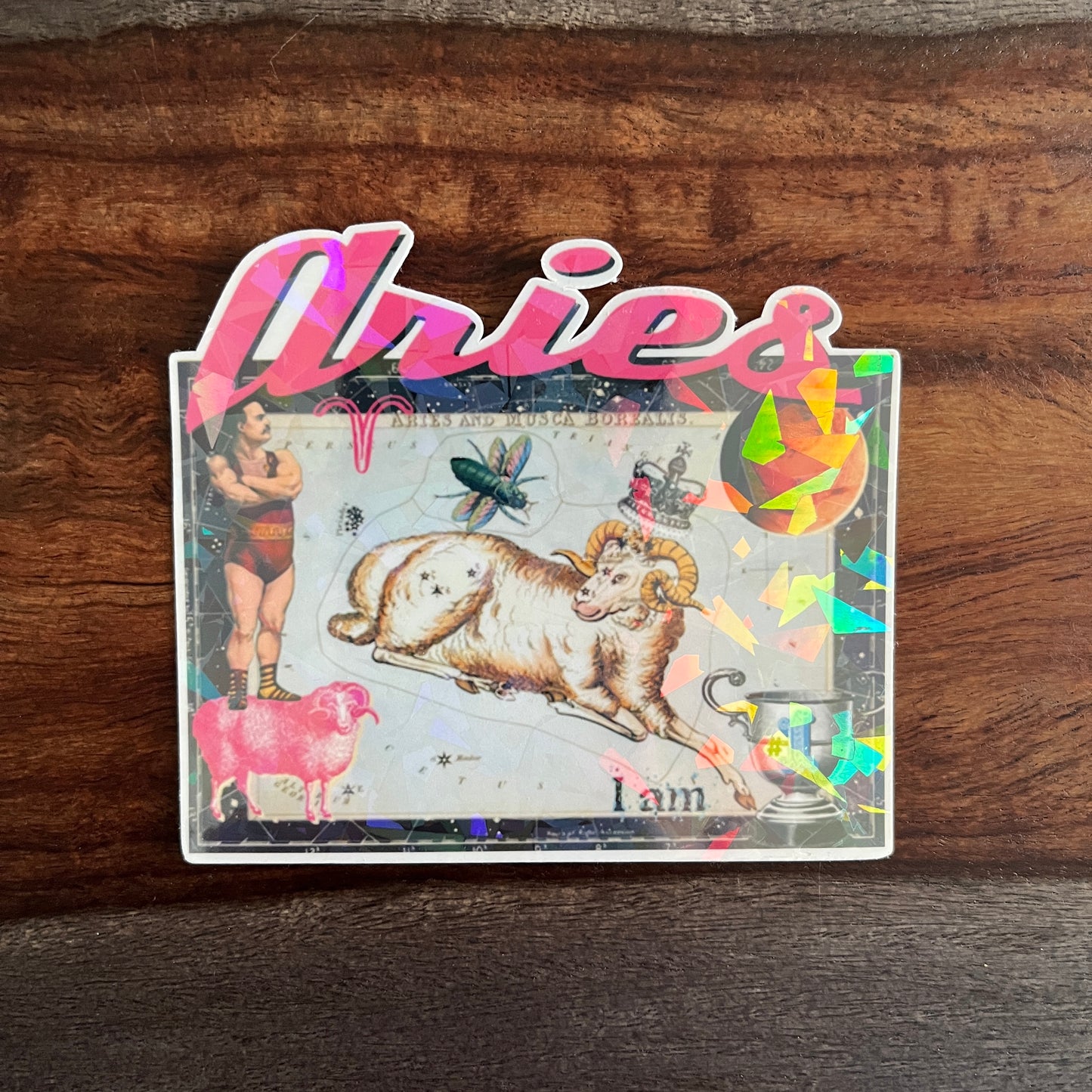 Zodiac Stickers - Large & Small