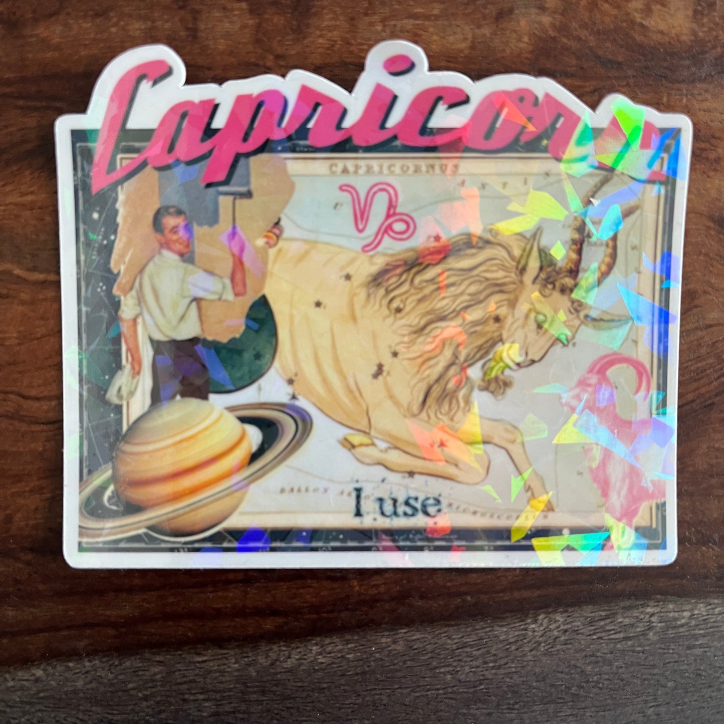 Zodiac Stickers - Large & Small