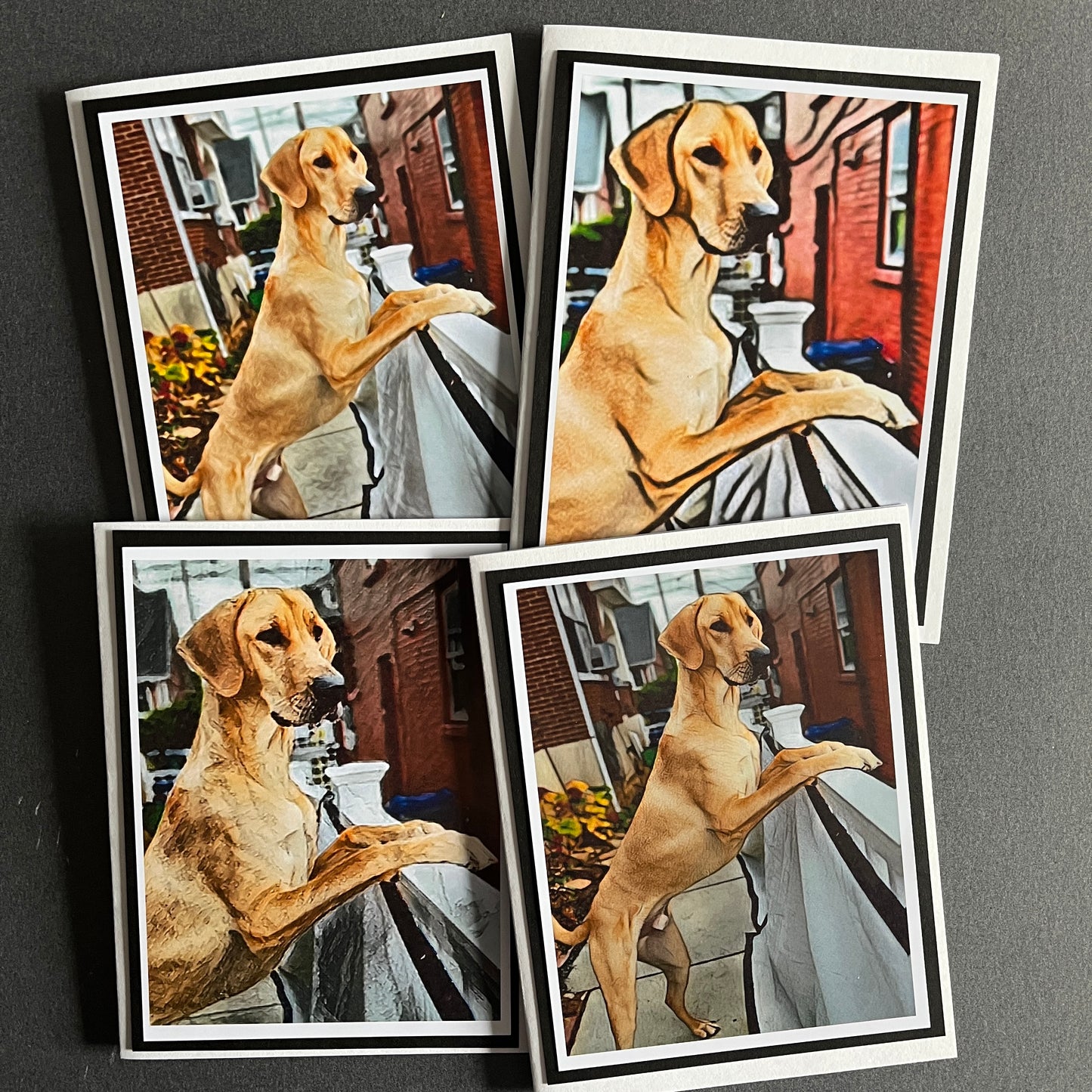 Personalized Pet Note Cards