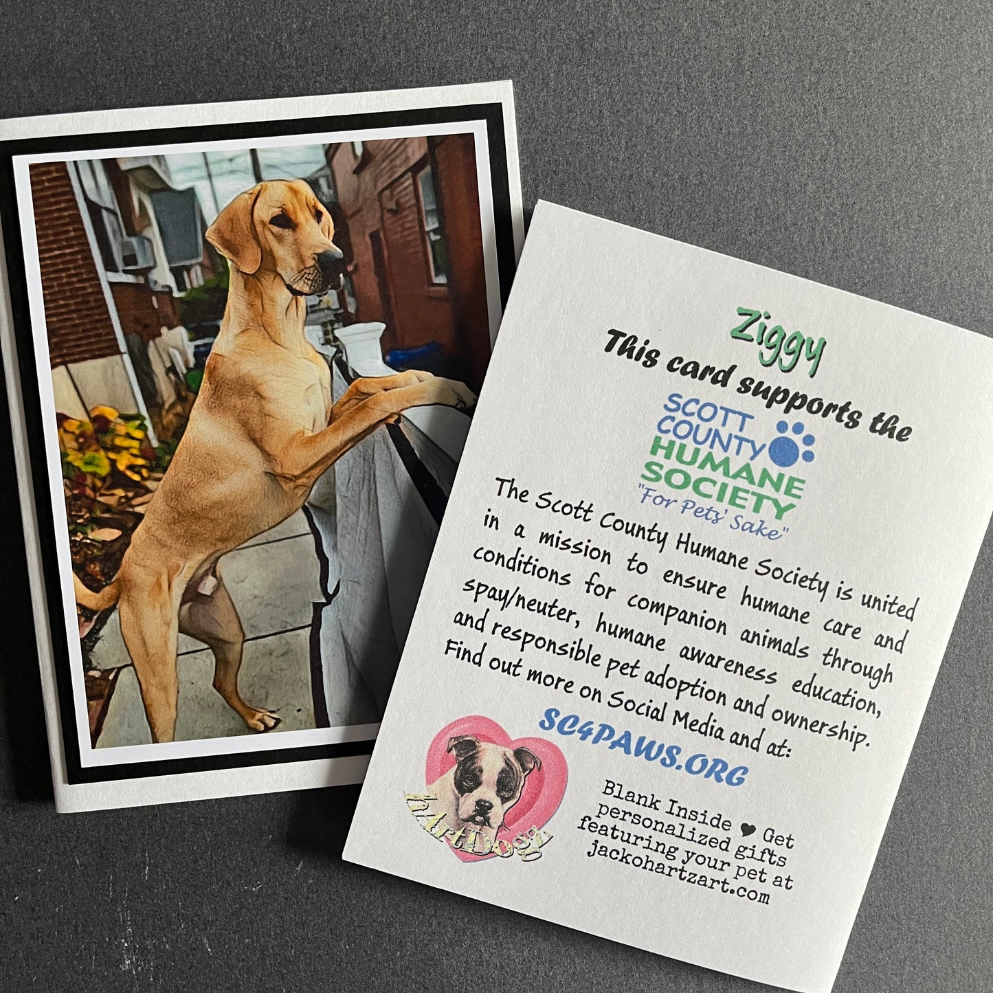 Personalized Pet Note Cards