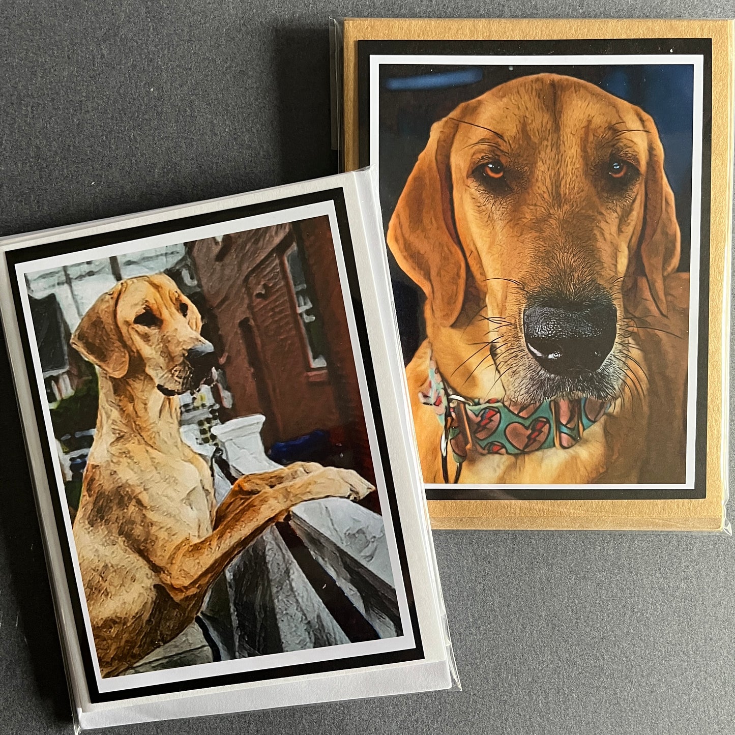 Personalized Pet Note Cards