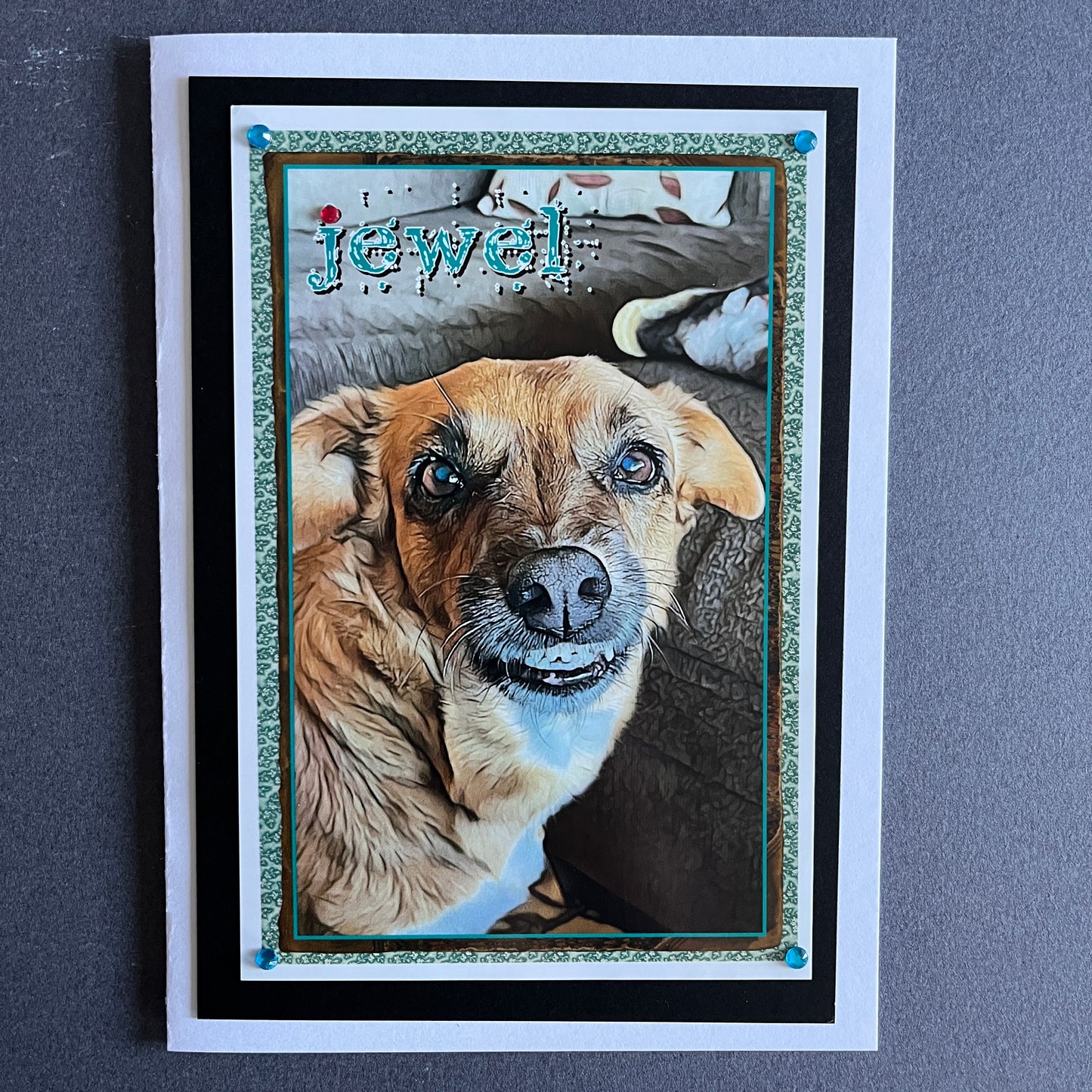 Personalized Pet Greeting Card