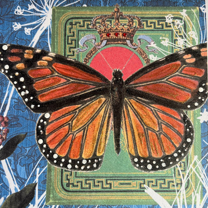 SALE 7 of 52 - Monarch Butterfly