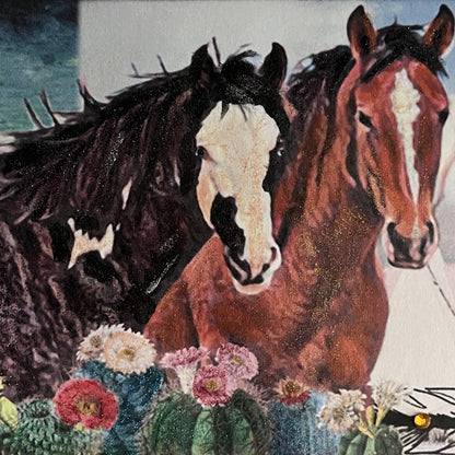 SALE 8 of 52 - Wild Mustang