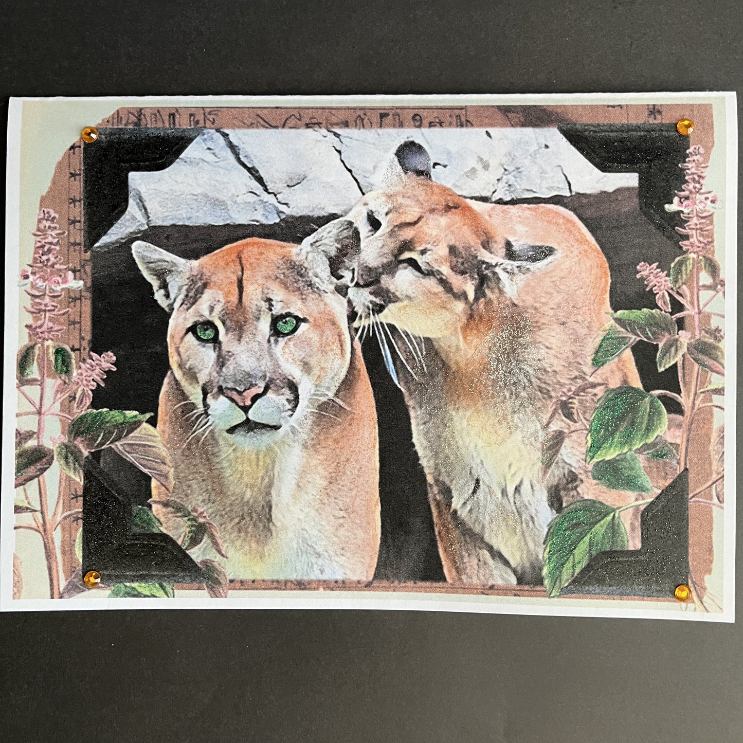 SALE 9 of 52 - Cougar