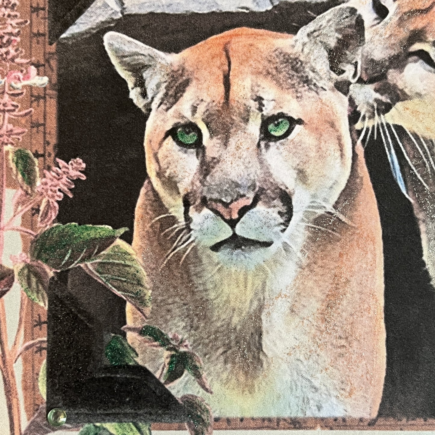 SALE 9 of 52 - Cougar