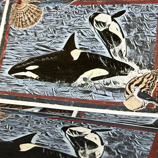 10 of 52 - Orca