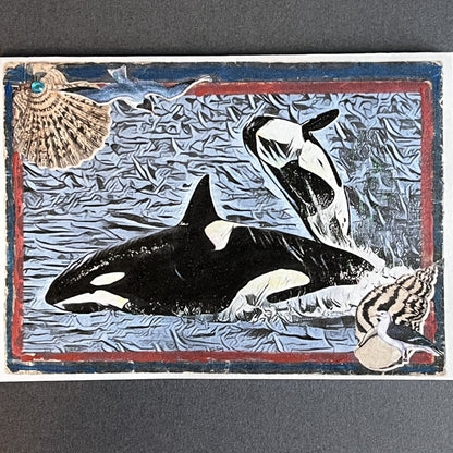 SALE 10 of 52 - Orca