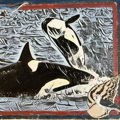 SALE 10 of 52 - Orca