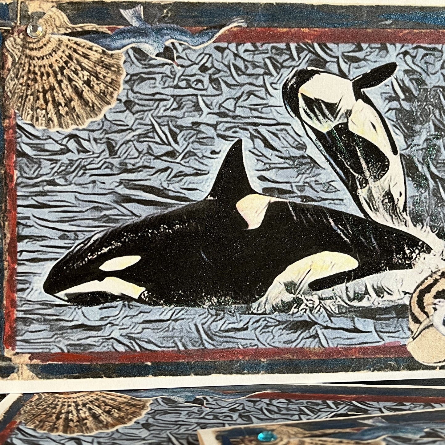 SALE 10 of 52 - Orca