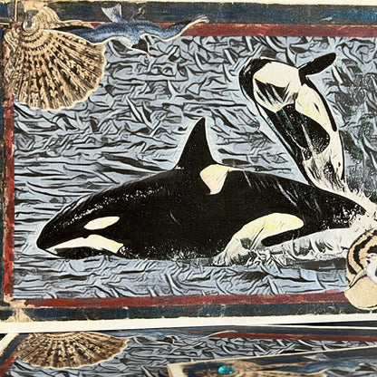 SALE 10 of 52 - Orca