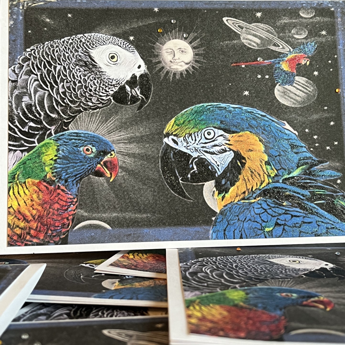 SALE 11 of 52 - Parrot