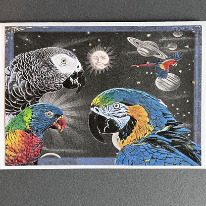 SALE 11 of 52 - Parrot