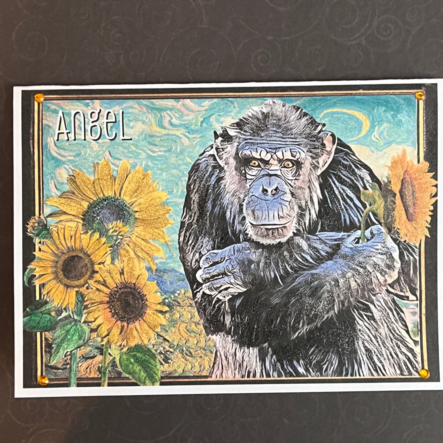 SALE 14 of 52 - Chimpanzee