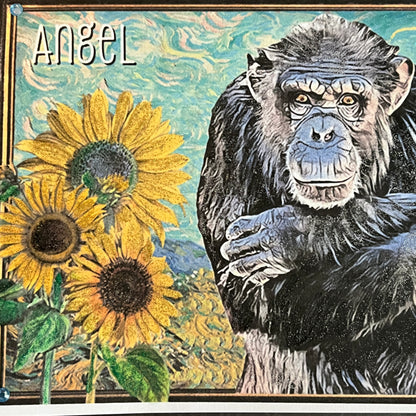 SALE 14 of 52 - Chimpanzee