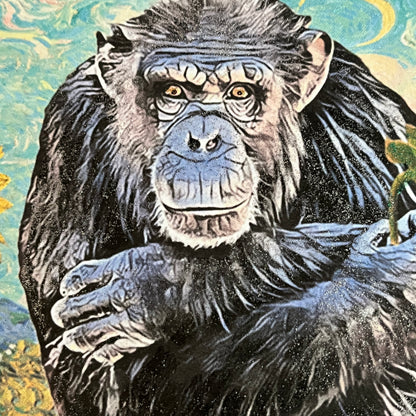 SALE 14 of 52 - Chimpanzee