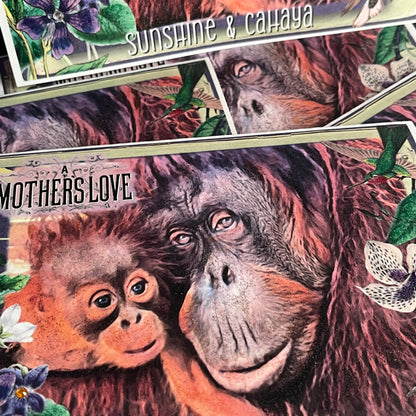 SALE 15 of 52 - Orangutan