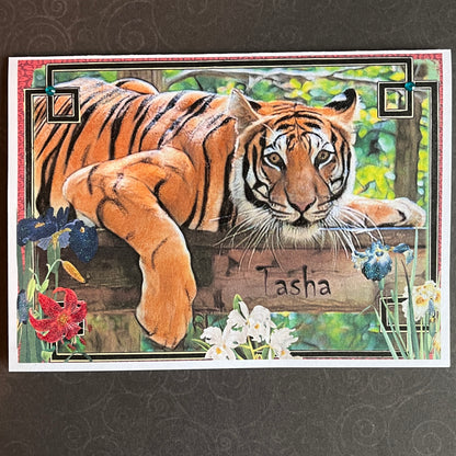 SALE 16 of 52 - Tiger