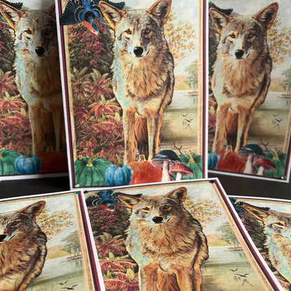 SALE 18 of 52 - Coyote