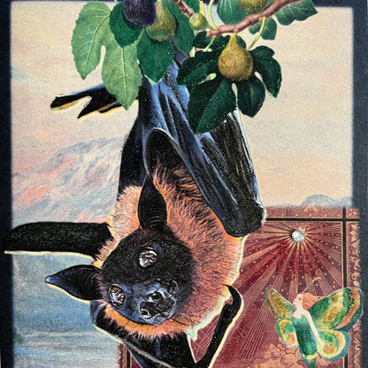 SALE 19 - Flying Fox