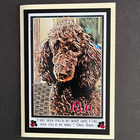 Once Again Pet Sympathy Cards