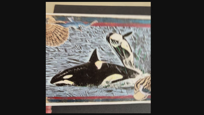 SALE 10 of 52 - Orca