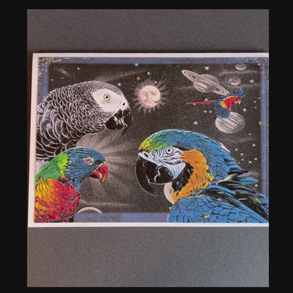 SALE 11 of 52 - Parrot